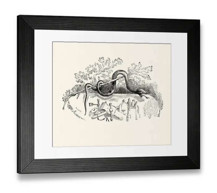 Framed Print : La Fontaines Fables - Serpent and the File Framed Print : La Fontaines Fables - Serpent and the File