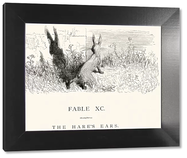 La Fontaines Fables - The Hares Ears