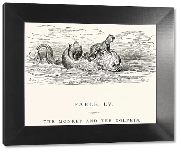 La Fontaines Fables - Monkey and the Dolphin