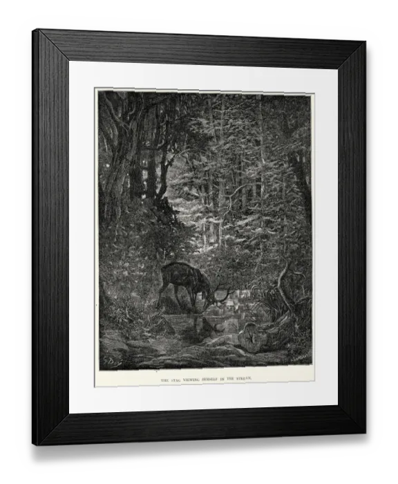 Framed Print : La Fontaines Fables - Stag viewing himself in the Stream Framed Print : La Fontaines Fables - Stag viewing himself in the Stream