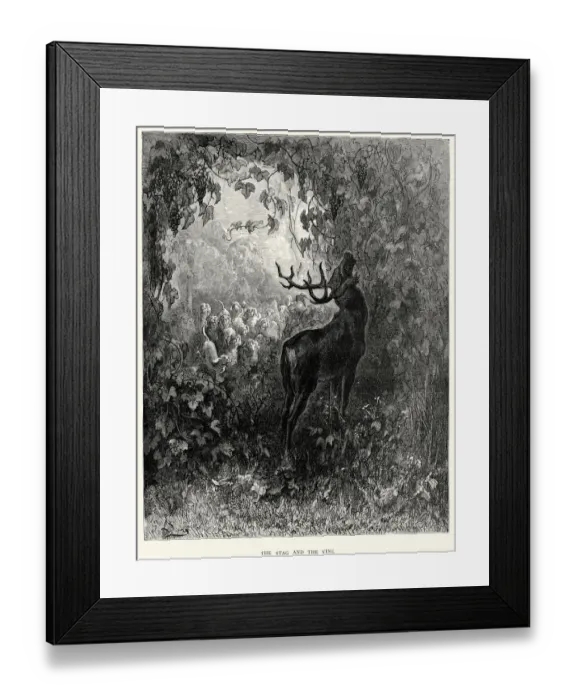 Framed Print : La Fontaines Fables - Stag and the Vine Framed Print : La Fontaines Fables - Stag and the Vine