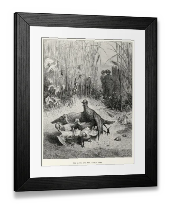 Framed Print : La Fontaines Fables - Lark and her little chicks Framed Print : La Fontaines Fables - Lark and her little chicks