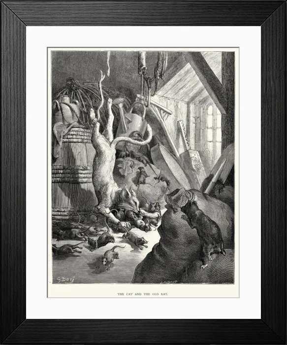 Framed Print : La Fontaines Fables - Cat and the Old Rat