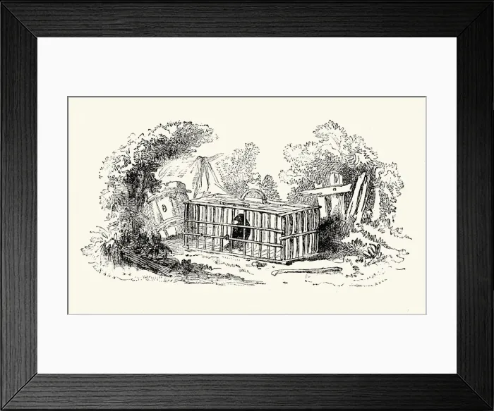 Framed Print : La Fontaines Fables - The Raven Framed Print : La Fontaines Fables - The Raven