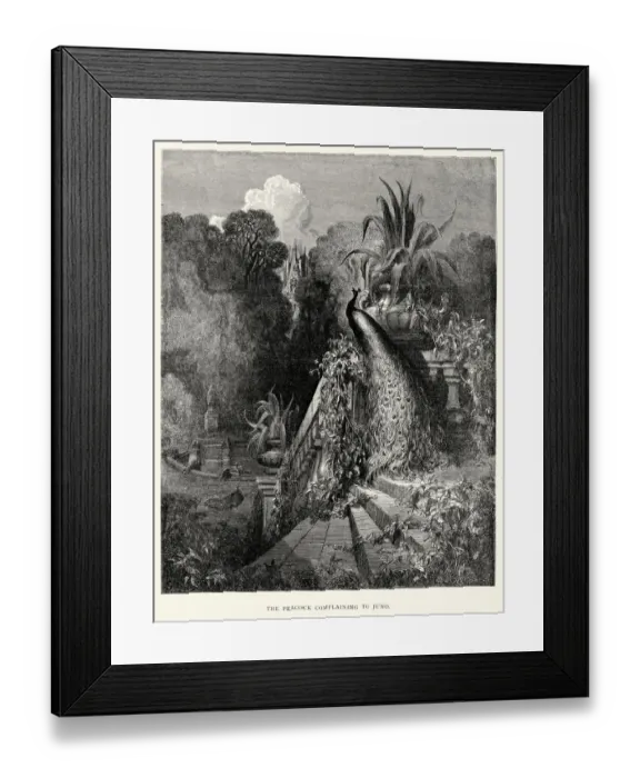 Framed Print : La Fontaines Fables - Peacock complaining to Juno Framed Print : La Fontaines Fables - Peacock complaining to Juno