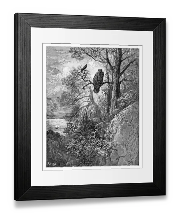 Framed Print : The eagle and the magpie Framed Print : The eagle and the magpie