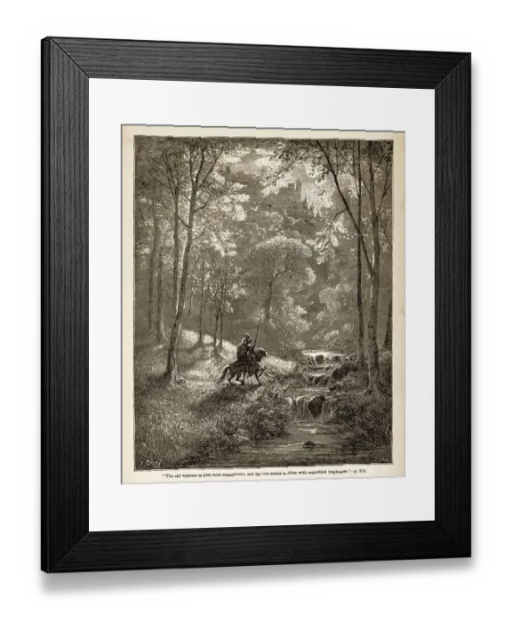 Framed Print : Don Quixote engraving Framed Print : Don Quixote engraving