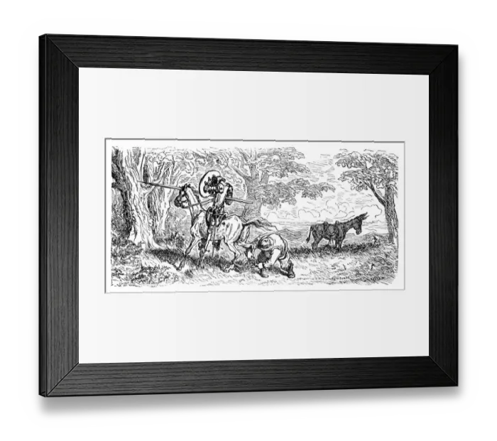 Framed Print : Don Quixote wonderful adventure Framed Print : Don Quixote wonderful adventure