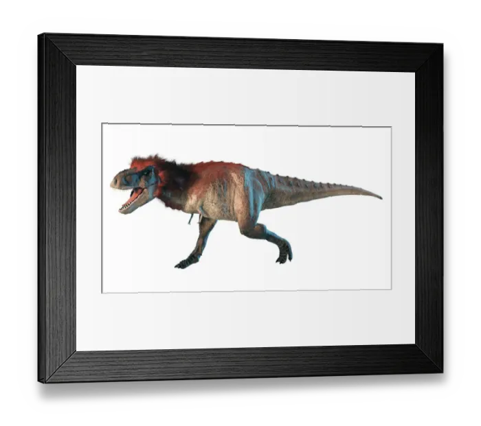 Framed Print : Artwork of a feathered tyrannosaurus Framed Print : Artwork of a feathered tyrannosaurus
