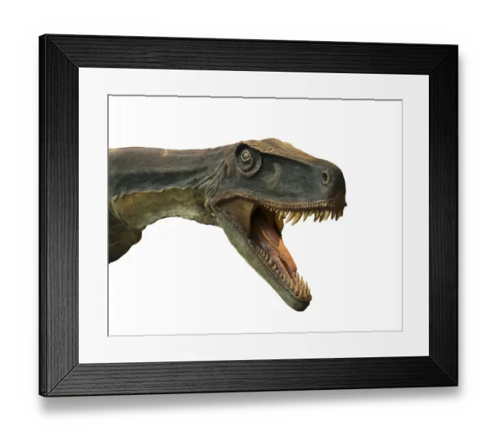 Framed Print : Tyrannosaurus Rex Framed Print : Tyrannosaurus Rex