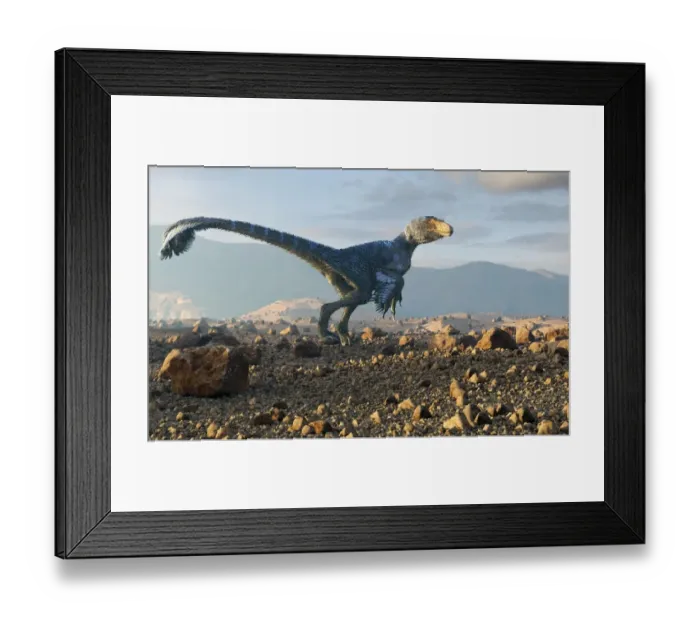 Framed Print : Artwork of the dinosaur dineobellator Framed Print : Artwork of the dinosaur dineobellator