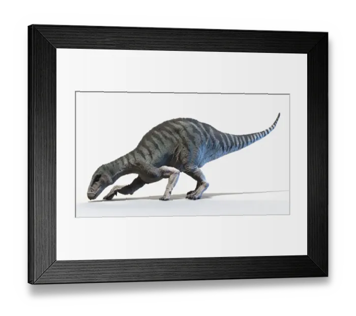 Framed Print : Iguanodon, illustration Framed Print : Iguanodon, illustration