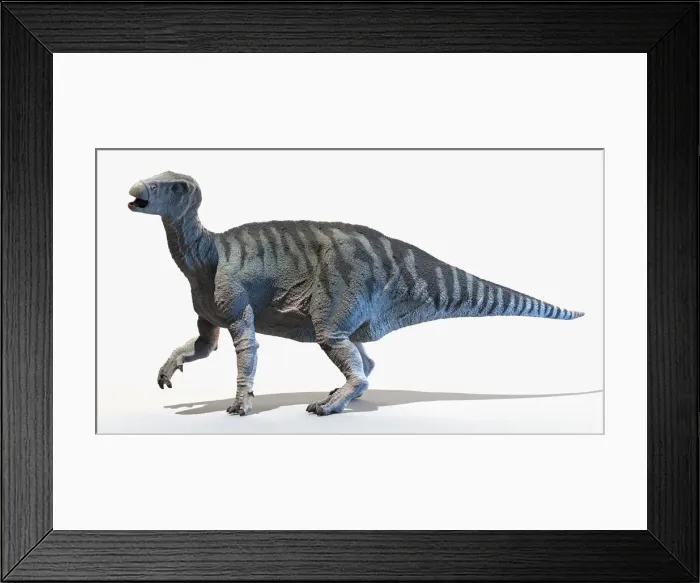 Framed Print : Iguanodon, illustration Framed Print : Iguanodon, illustration