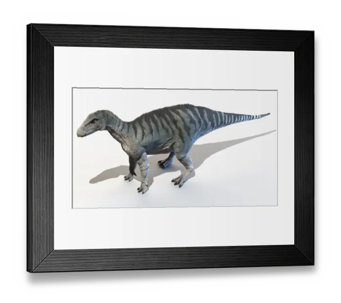 Framed Print : Iguanodon, illustration Framed Print : Iguanodon, illustration