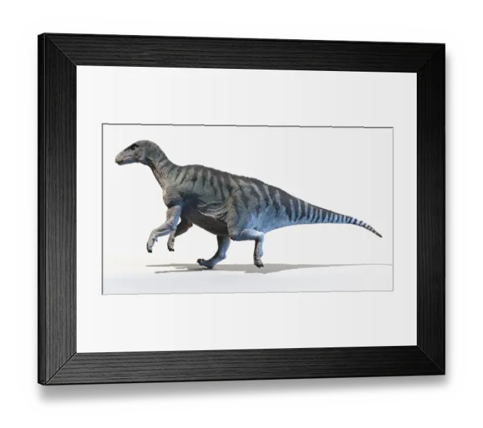Framed Print : Iguanodon, illustration Framed Print : Iguanodon, illustration