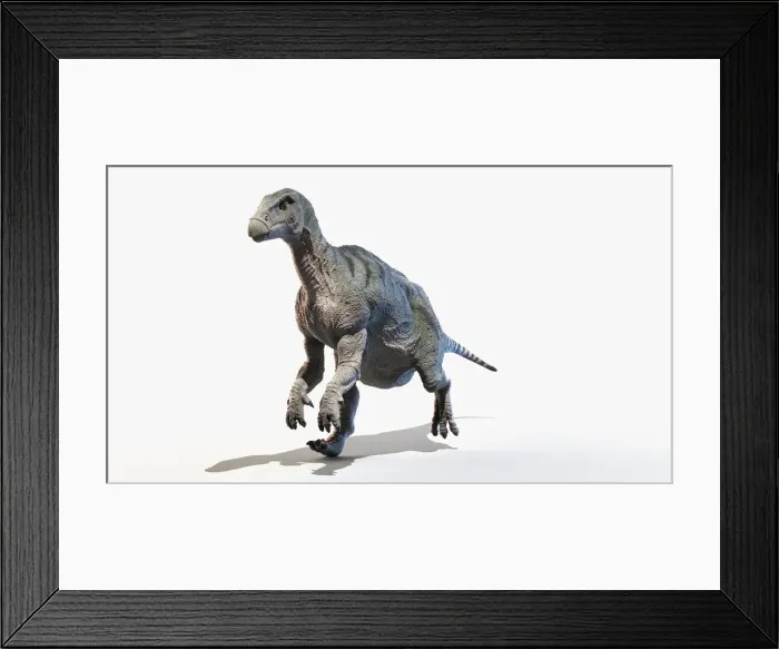Framed Print : Iguanodon, illustration Framed Print : Iguanodon, illustration
