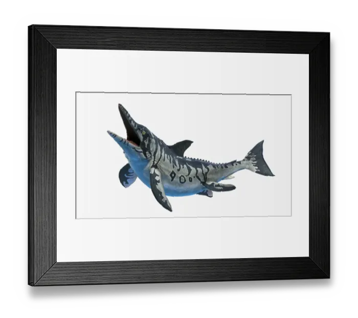 Framed Print : Ichthyosaurus, illustration Framed Print : Ichthyosaurus, illustration