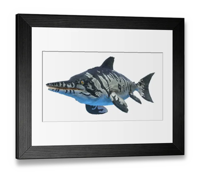 Framed Print : Ichthyosaurus, illustration Framed Print : Ichthyosaurus, illustration