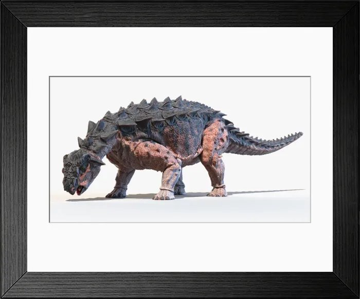 Framed Print : Europelta, illustration