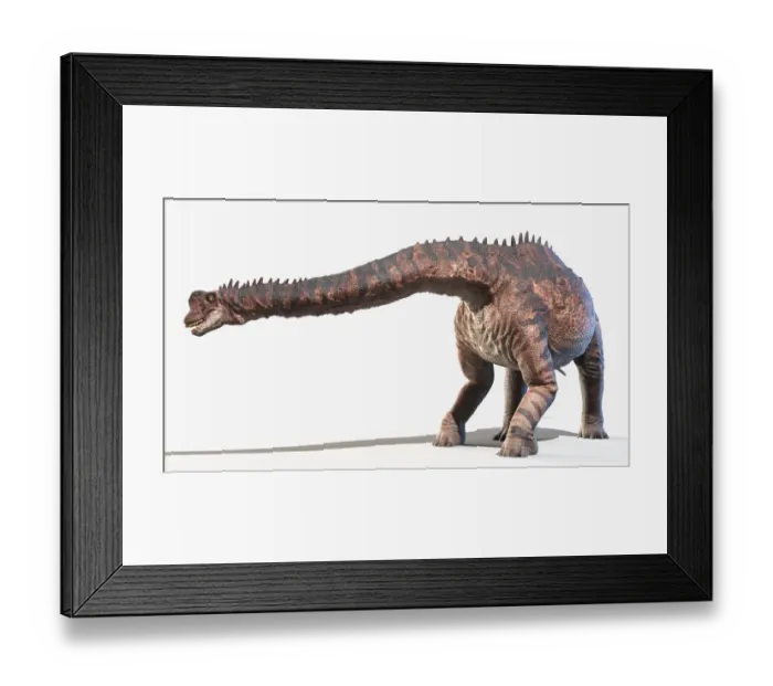 Framed Print : Europasaurus, illustration Framed Print : Europasaurus, illustration