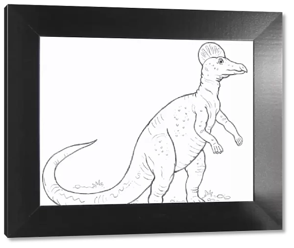 Line drawing of a Corythosaurus dinosaur