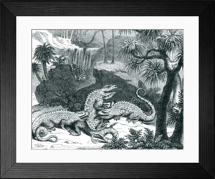 Framed Print : Engraving of dinosaur iguanodon fighting 1872