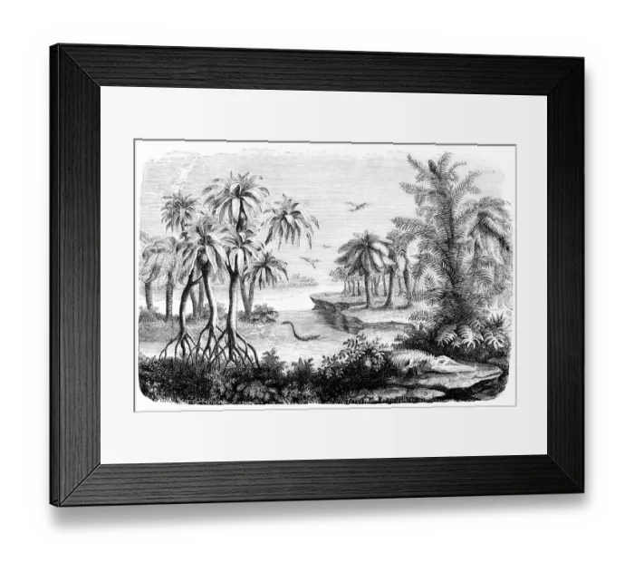 Framed Print : Engraving landscape of Jurassic period with dinosaur Framed Print : Engraving landscape of Jurassic period with dinosaur