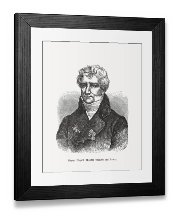 Framed Print : Georges Cuvier (1769-1832), French naturalist, wood engraving, published in 1893 Framed Print : Georges Cuvier (1769-1832), French naturalist, wood engraving, published in 1893