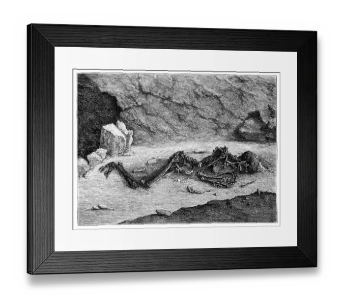 Framed Print : Aurignacian Skeleton The Fossil Man of Menton'at Balzi Rossi Caves, Liguria, Italy - 43, 000 to 37, 000 Years Ago Framed Print : Aurignacian Skeleton The Fossil Man of Menton'at Balzi Rossi Caves, Liguria, Italy - 43, 000 to 37, 000 Years Ago