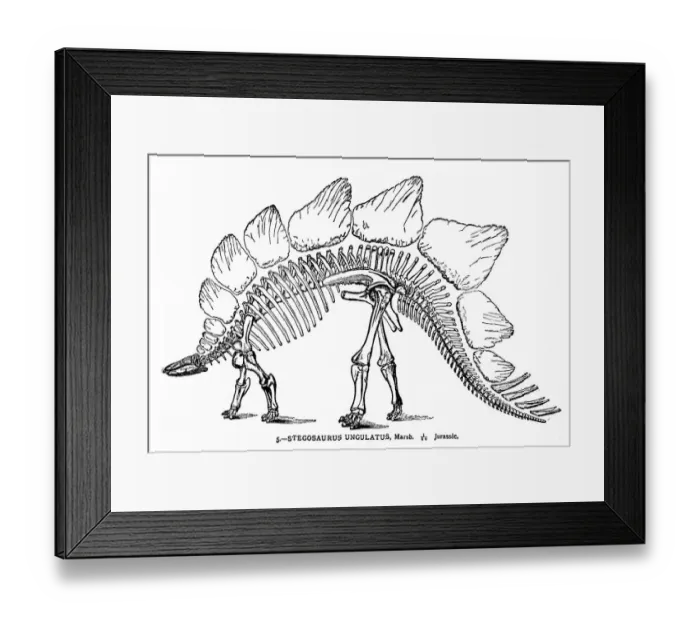 Framed Print : Dinosaur engraving 1894 Framed Print : Dinosaur engraving 1894