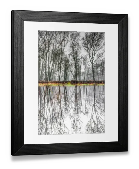 Framed Print : Symmetrical reflection in the water of a forest in winter Framed Print : Symmetrical reflection in the water of a forest in winter