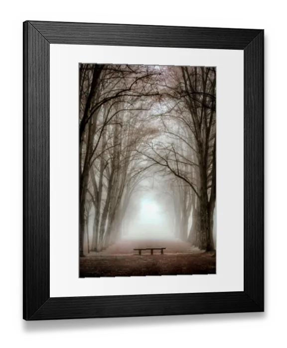 Framed Print : A stone bench, in winter, at Chamarande Framed Print : A stone bench, in winter, at Chamarande