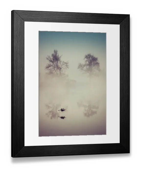 Framed Print : The heron in the mist Framed Print : The heron in the mist