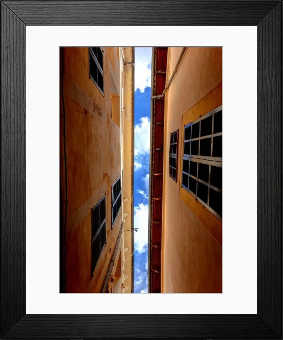 Framed Print : Looking up Framed Print : Looking up