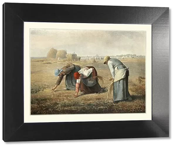 The Gleaners by Jean-Francois Millet, peasant women gleaning farmers field