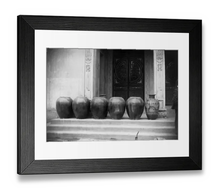Framed Print : Odd One Out Framed Print : Odd One Out