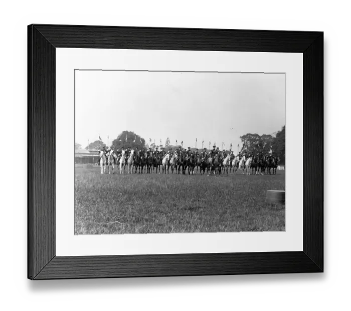 Framed Print : Horse Parade Framed Print : Horse Parade
