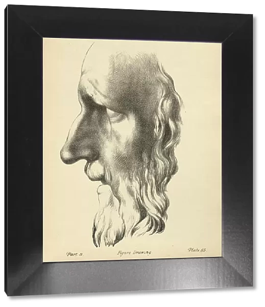 Sketching human face, Classical, Bearded man, Nose, Victorian art figure drawing copies 19th Century