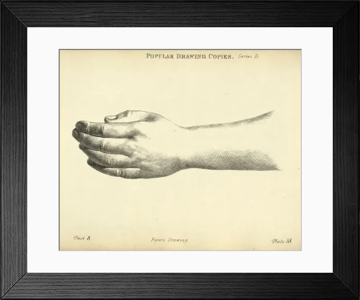 Framed Print : Sketching human hand and wrist, Victorian art figure drawing copies 19th Century
