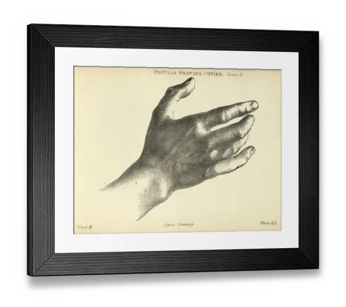 Framed Print : Sketching human hand, wrist and fingers, Victorian art figure drawing copies 19th Century Framed Print : Sketching human hand, wrist and fingers, Victorian art figure drawing copies 19th Century