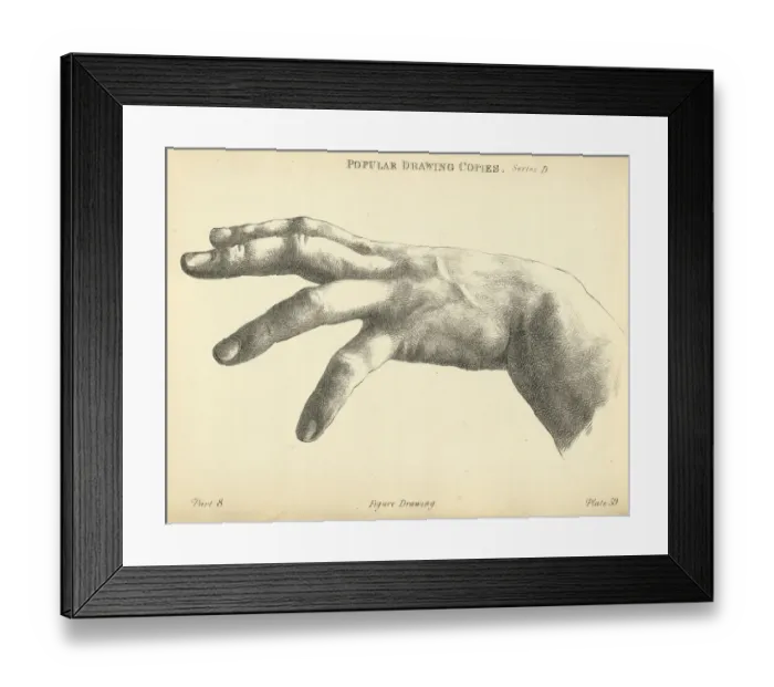 Framed Print : Vintage illustration of Sketching human hand with spread fingers, Victorian art figure drawing copies 19th Century Framed Print : Vintage illustration of Sketching human hand with spread fingers, Victorian art figure drawing copies 19th Century