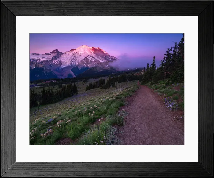 Framed Print : Sunrise At Sunrise Area in Mount Rainier National Park Framed Print : Sunrise At Sunrise Area in Mount Rainier National Park