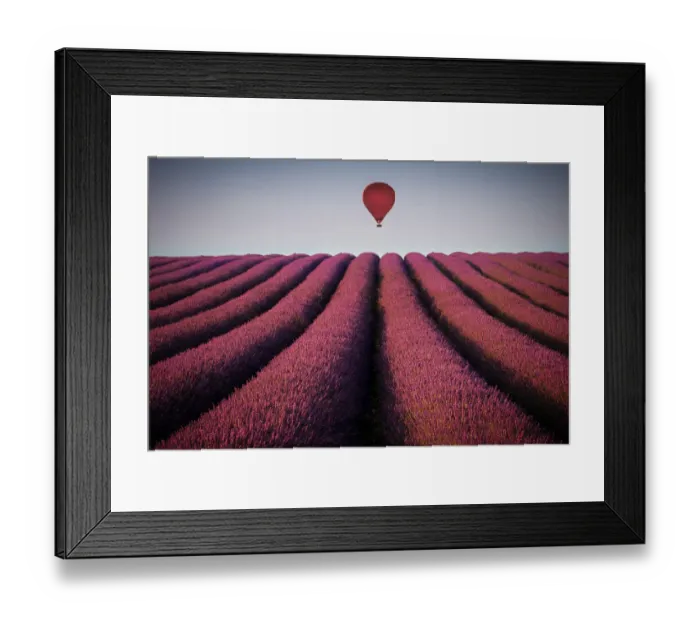 Framed Print : Flying high Framed Print : Flying high