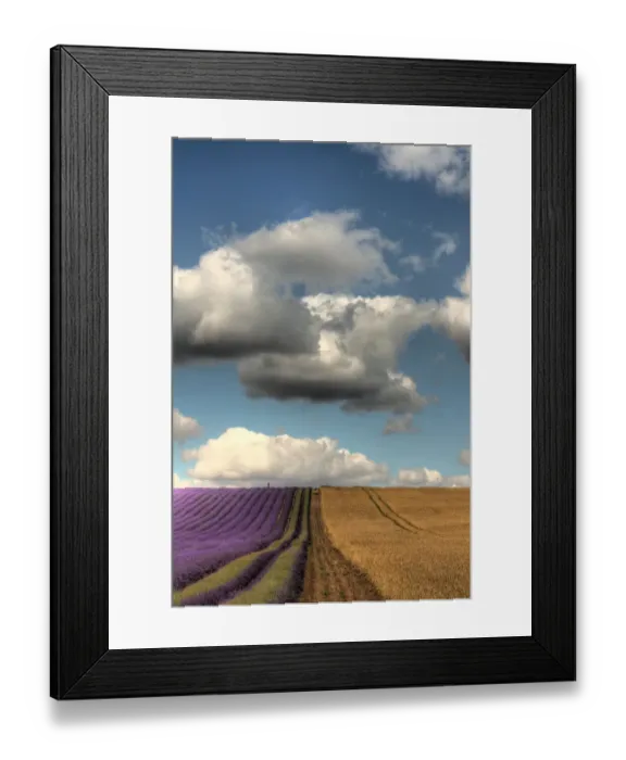 Framed Print : Parallel Lines Framed Print : Parallel Lines