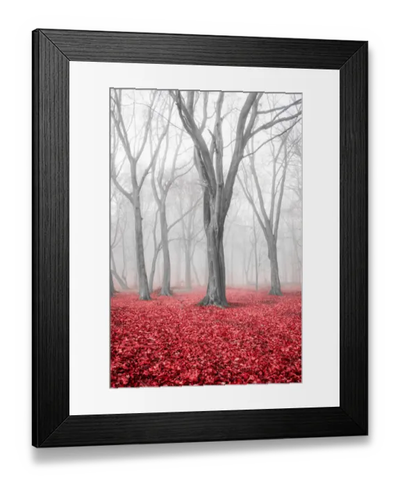 Framed Print : Ashridge in Autumn Framed Print : Ashridge in Autumn