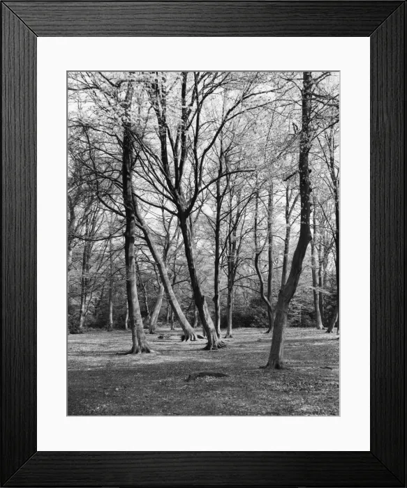 Framed Print : Hadley Wood