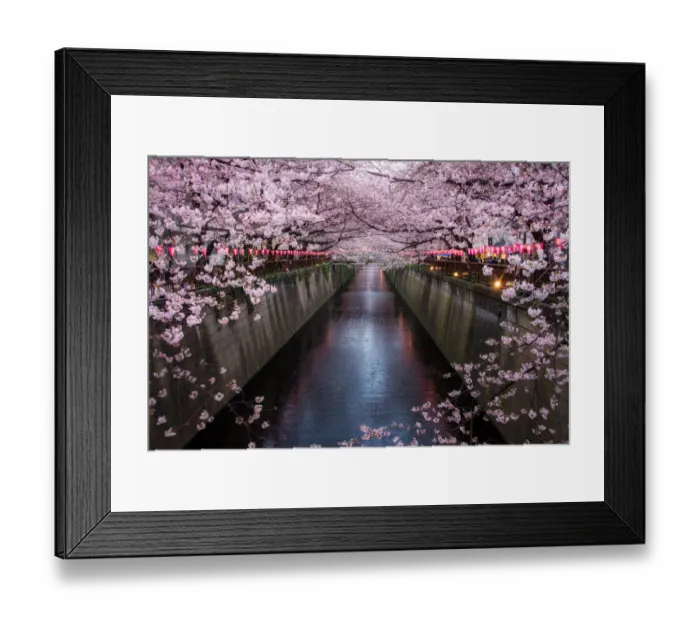 Framed Print : Sakura at Meguro