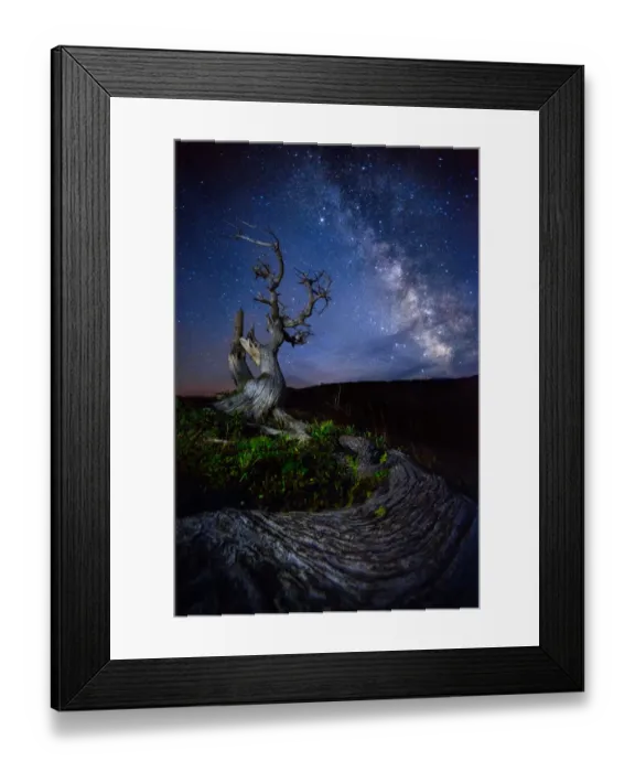 Framed Print : Tree and Milky way Framed Print : Tree and Milky way