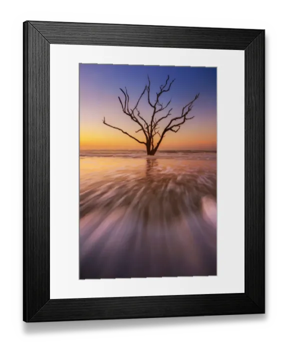 Framed Print : Dead tree in seawater Framed Print : Dead tree in seawater