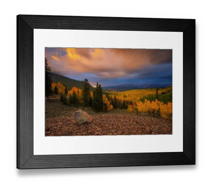 Framed Print : Ohio pass. Yellow aspen trees in autumn with sky lit up in the morning Framed Print : Ohio pass. Yellow aspen trees in autumn with sky lit up in the morning